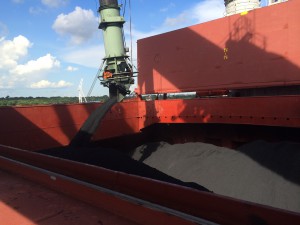 Delta Petcoke2