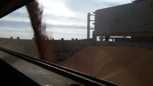 CMB Julliete - NP Grain loading Aug 15