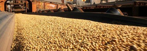 Positive tones for South American grain exports
